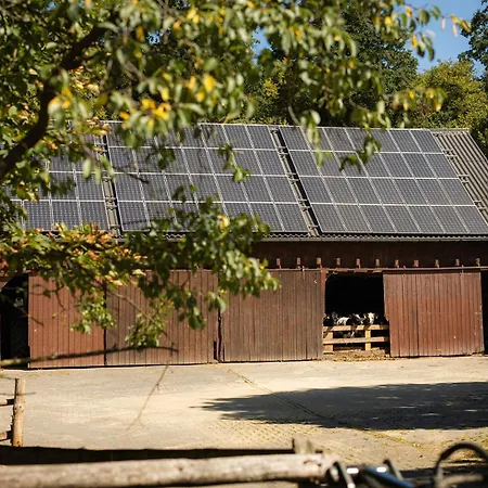 Roerig-plenz Apartment *