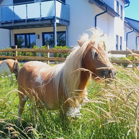 Roerig-plenz *