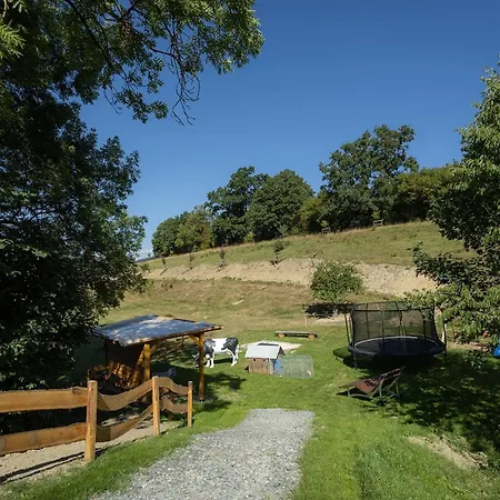 Roerig-plenz Schmallenberg
