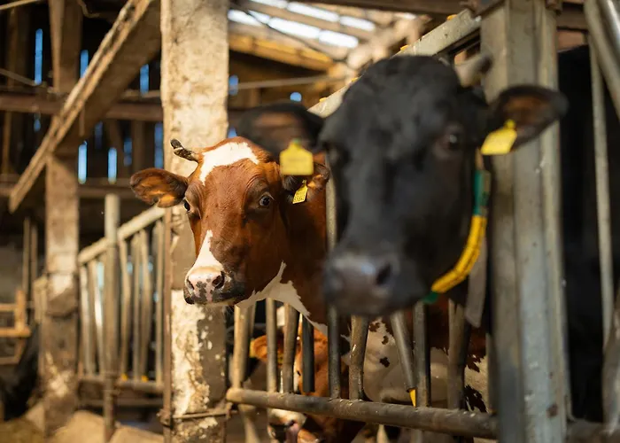 Apartment Rörig-plenz