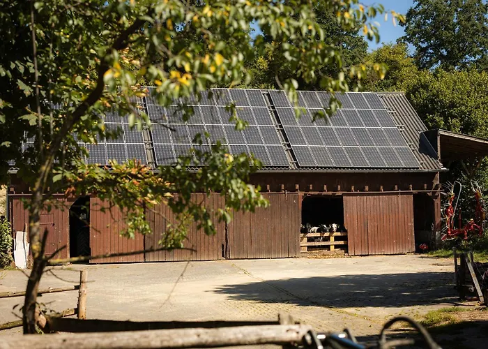 Rörig-plenz Apartment *